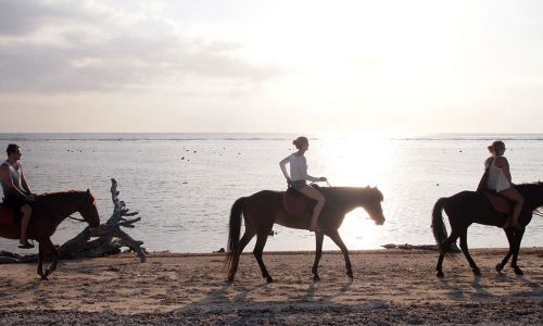 Kelapavillas-facilities-horseback-riding